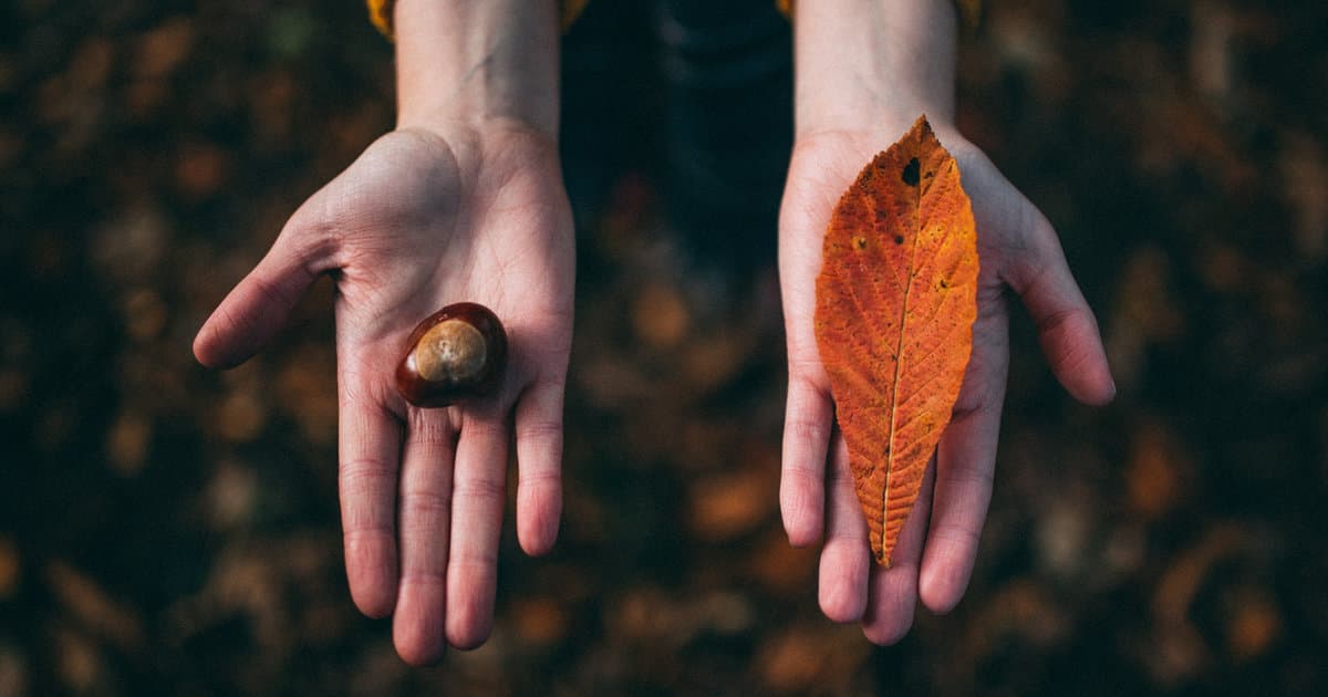 Fall Dental Health: Keep Your Smile Bright This Autumn