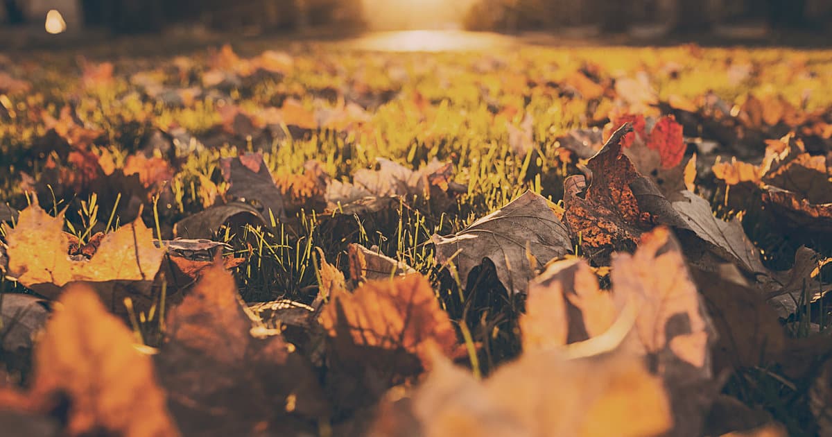 September Smiles: Why This Month Is the Perfect Time to Prioritize Your Dental Health